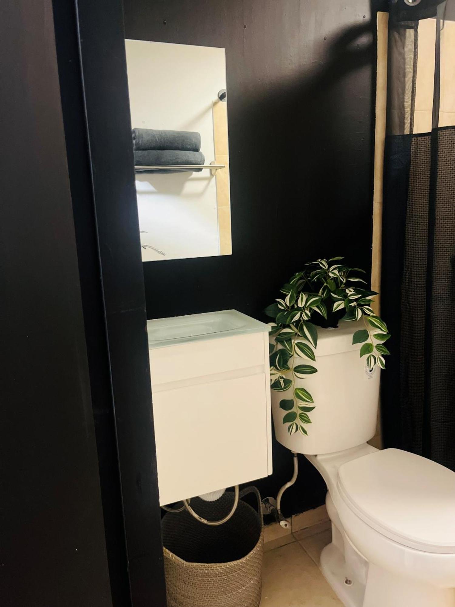 Central San Juan Studio Екстериор снимка