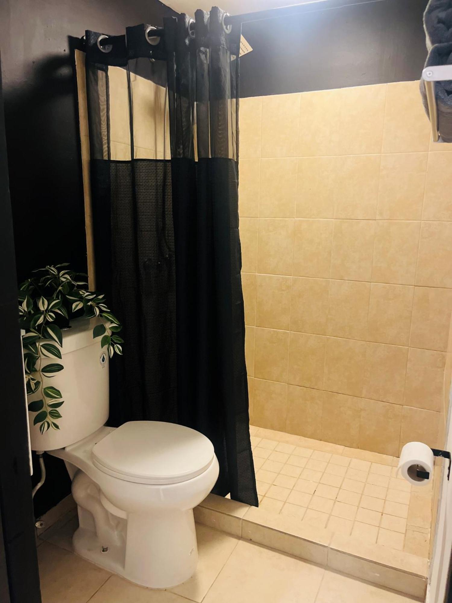 Central San Juan Studio Екстериор снимка